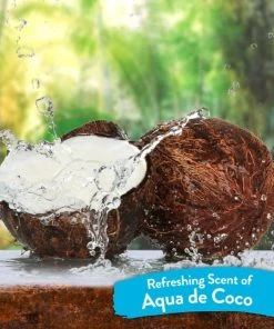 TropiClean Waterless Dander Reducing Cat Shampoo -TropiClean || Pedigree || Multipet Sales 101325 PT6. SY630 V1652251885