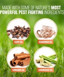 TropiClean Maximum Strength Natural Flea & Tick Dog Shampoo -TropiClean || Pedigree || Multipet Sales 101342 PT4. SY630 V1657654930