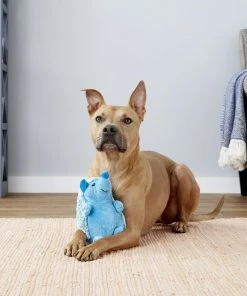 Multipet Hedgehog Squeaky Plush Dog Toy, Color Varies -TropiClean || Pedigree || Multipet Sales 151614 PT2. SY630 V1545257301