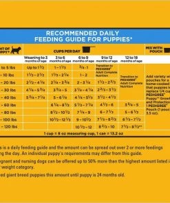 Pedigree Puppy Growth & Protection Grilled Steak & Vegetable Flavor Dry Dog Food -TropiClean || Pedigree || Multipet Sales 156836 PT7. SY630 V1641264992