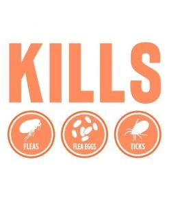 TropiClean Natural Flea & Tick Outdoor Flea & Tick Spray for Dogs -TropiClean || Pedigree || Multipet Sales 158170 PT3. SY630 V1657656008