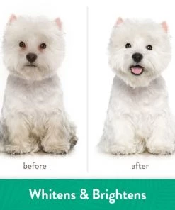 TropiClean Whitening Awapuhi & Coconut Shampoo -TropiClean || Pedigree || Multipet Sales 158207 PT4. SY630 V1657656011