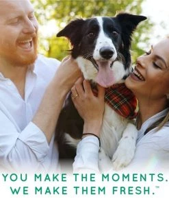 TropiClean Neem & Citrus Dog Shampoo -TropiClean || Pedigree || Multipet Sales 158211 PT8. SY630 V1657656009