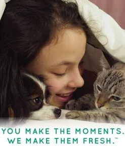 TropiClean Baby Powder Deodorizing Dog & Cat Spray -TropiClean || Pedigree || Multipet Sales 163296 PT8. SY630 V1580325791