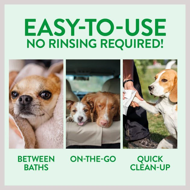 TropiClean Waterless Papaya & Coconut Dog & Cat Shampoo 3 TropiClean Waterless Papaya & Coconut Dog & Cat Shampoo - Image 3