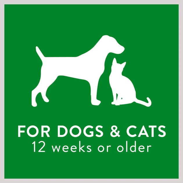 TropiClean Waterless Papaya & Coconut Dog & Cat Shampoo 5 TropiClean Waterless Papaya & Coconut Dog & Cat Shampoo - Image 5