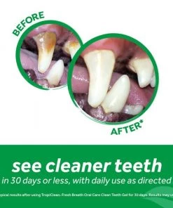 TropiClean Fresh Breath Oral Care Clean Teeth Dog Dental Gel 12 TropiClean Fresh Breath Oral Care Clean Teeth Dog Dental Gel -TropiClean || Pedigree || Multipet Sales 218539 PT5. SY630 V1609451854