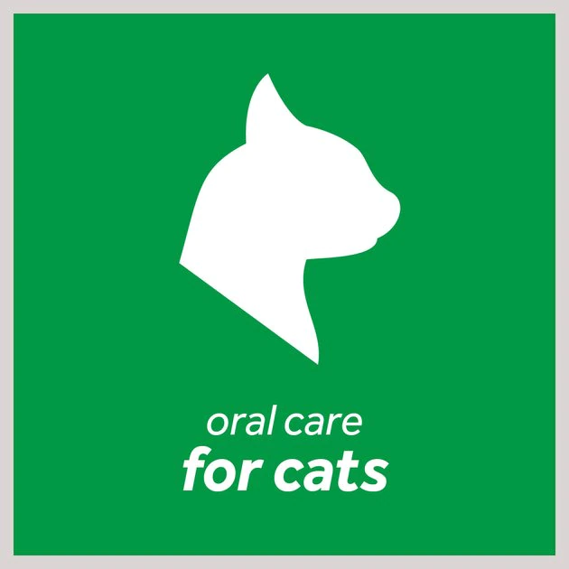 TropiClean Fresh Breath Cat Dental Kit 4 TropiClean Fresh Breath Cat Dental Kit - Image 4