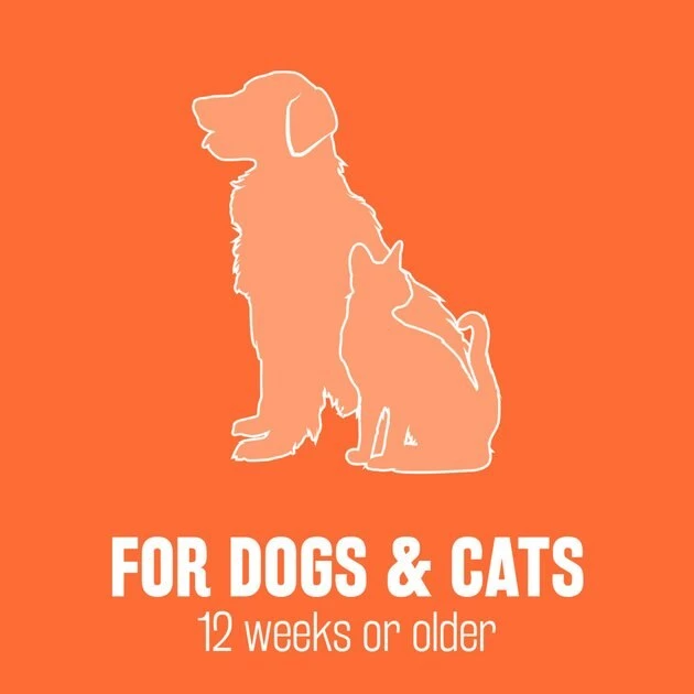 TropiClean Natural Flea & Tick Bite Relief Dog Spray, 8-oz bottle 6 TropiClean Natural Flea & Tick Bite Relief Dog Spray, 8-oz bottle - Image 6