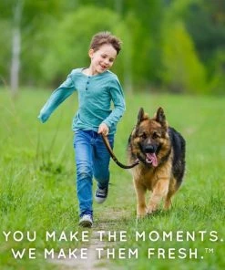 TropiClean Natural Flea & Tick Bite Relief Dog Spray, 8-oz bottle 17 TropiClean Natural Flea & Tick Bite Relief Dog Spray, 8-oz bottle -TropiClean || Pedigree || Multipet Sales 248267 PT8. SY630 V1657656387