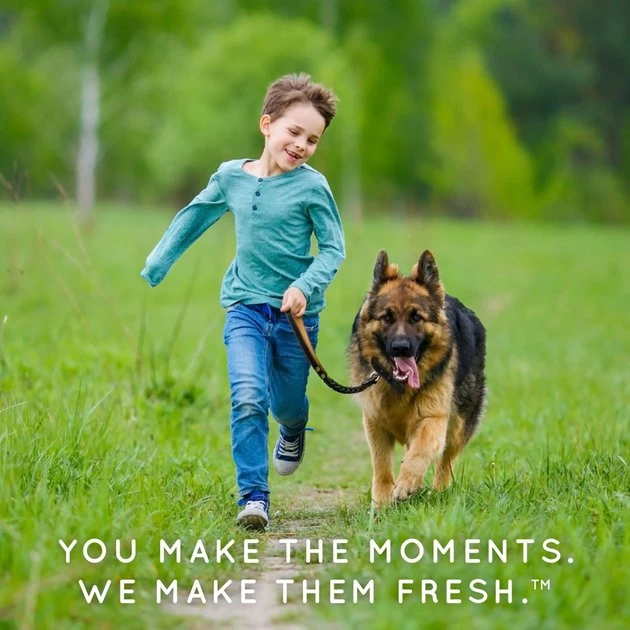 TropiClean Natural Flea & Tick Bite Relief Dog Spray, 8-oz bottle 9 TropiClean Natural Flea & Tick Bite Relief Dog Spray, 8-oz bottle - Image 9