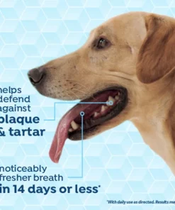 TropiClean Fresh Breath Dental Health Solution + Skin Health Support Dog Dental Water Additive -TropiClean || Pedigree || Multipet Sales 337028 PT3. SY630 V1635297729