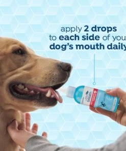 TropiClean Fresh Breath Vet Strength Formula Oral Care Clean Teeth Dog Dental Gel -TropiClean || Pedigree || Multipet Sales 337032 PT4. SY630 V1635349066