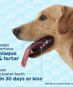 TropiClean Fresh Breath Vet Strength Formula Oral Care Clean Teeth Dog Dental Gel -TropiClean || Pedigree || Multipet Sales 337032 PT5. SY630 V1635348682