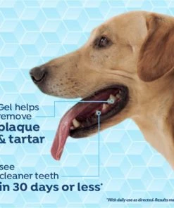 TropiClean Fresh Breath Vet Strength Formula Total Care Dental Kit for Large Dogs -TropiClean || Pedigree || Multipet Sales 337044 PT7. SY630 V1635349328