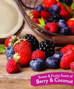 TropiClean Deep Cleaning Berry & Coconut Deodorizing Dog Wipes, 20 count -TropiClean || Pedigree || Multipet Sales 347453 PT3. SY630 V1637271098