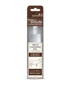 TropiClean Enticers Smoked Beef Brisket Flavor Dog Dental Gel