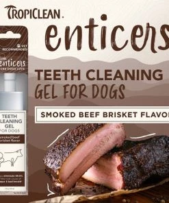 TropiClean Enticers Smoked Beef Brisket Flavor Dog Dental Gel -TropiClean || Pedigree || Multipet Sales 365202 PT3. SY630 V1652821912