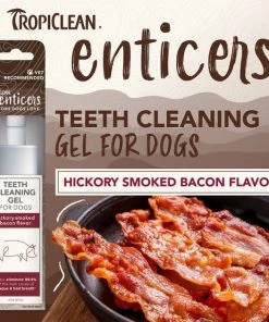TropiClean Enticers Hickory Smoked Bacon Flavor Dog Dental Gel, 2-oz tube -TropiClean || Pedigree || Multipet Sales 365207 PT3. SY630 V1652823086