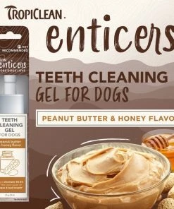 TropiClean Enticers Peanut Butter & Honey Flavor Dog Dental Gel, 2-oz tube -TropiClean || Pedigree || Multipet Sales 365215 PT3. SY630 V1652823688