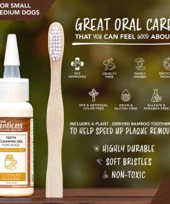 TropiClean Enticers Peanut Butter & Honey Flavor Small & Medium Dog Dental Kit, 2-oz tube -TropiClean || Pedigree || Multipet Sales 365217 PT6. SY630 V1652823720