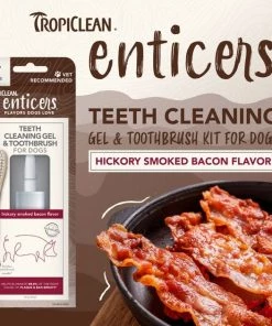 TropiClean Enticers Hickory Smoked Bacon Flavor Large Dog Dental Kit, 2-oz tube -TropiClean || Pedigree || Multipet Sales 365221 PT3. SY630 V1657657338