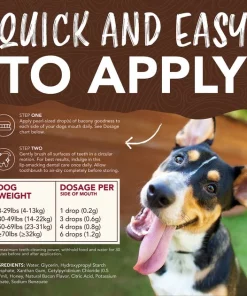 TropiClean Enticers Hickory Smoked Bacon Flavor Large Dog Dental Kit, 2-oz tube -TropiClean || Pedigree || Multipet Sales 365221 PT7. SY630 V1652824008