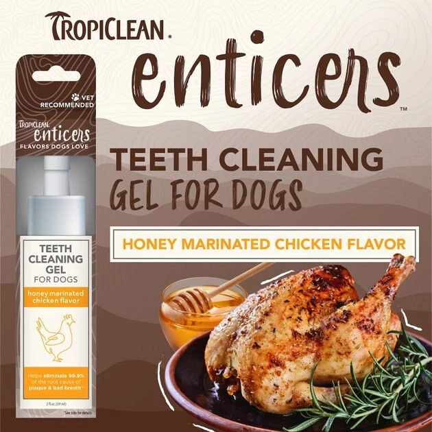 TropiClean Enticers Honey Marinated Chicken Flavor Dog Dental Gel, 2-oz tube 3 TropiClean Enticers Honey Marinated Chicken Flavor Dog Dental Gel, 2-oz tube - Image 3