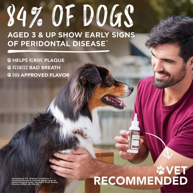 TropiClean Enticers Honey Marinated Chicken Flavor Dog Dental Gel, 2-oz tube 4 TropiClean Enticers Honey Marinated Chicken Flavor Dog Dental Gel, 2-oz tube - Image 4