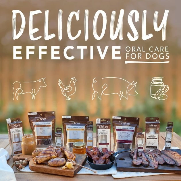 TropiClean Enticers Honey Marinated Chicken Flavor Dog Dental Gel, 2-oz tube 8 TropiClean Enticers Honey Marinated Chicken Flavor Dog Dental Gel, 2-oz tube - Image 8