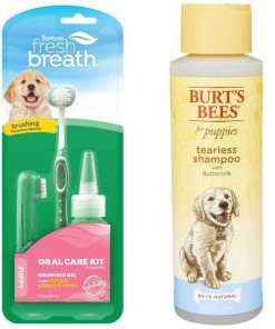 TropiClean||Burt's Bees TropiClean Fresh Breath Puppy Oral Care Kit + Burt's Bees Tearless Puppy Shampoo with Buttermilk for Dogs