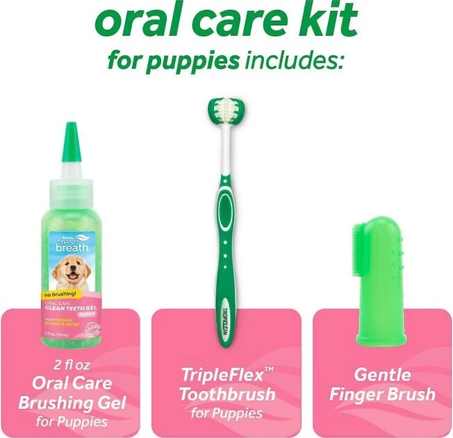 TropiClean||Burt's Bees TropiClean Fresh Breath Puppy Oral Care Kit + Burt's Bees Tearless Puppy Shampoo with Buttermilk for Dogs 4 TropiClean||Burt's Bees TropiClean Fresh Breath Puppy Oral Care Kit + Burt's Bees Tearless Puppy Shampoo with Buttermilk for Dogs - Image 4