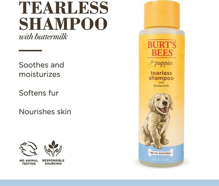 TropiClean||Burt's Bees TropiClean Fresh Breath Puppy Oral Care Kit + Burt's Bees Tearless Puppy Shampoo with Buttermilk for Dogs 9 TropiClean||Burt's Bees TropiClean Fresh Breath Puppy Oral Care Kit + Burt's Bees Tearless Puppy Shampoo with Buttermilk for Dogs - Image 9