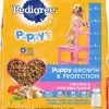 Pedigree Puppy Growth & Protection Chicken & Vegetable Flavor Dry Dog Food