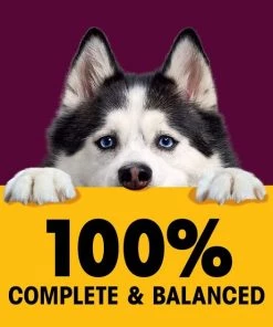 Pedigree High Protein Beef & Pork Tenderloin Flavor Cuts in Gravy Dog Wet Food Pouches, 3.5-oz. pouches, 16 count -TropiClean || Pedigree || Multipet Sales 369028 PT2. SY630 V1645125381