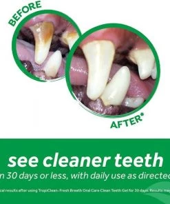 TropiClean Fresh Breath Oral Care Clean Teeth Cat Dental Gel -TropiClean || Pedigree || Multipet Sales 55635 PT3. SY630 V1617323801