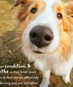 TropiClean Papaya Mist Cologne Spray -TropiClean || Pedigree || Multipet Sales 55643 PT4. SY630 V1657659537