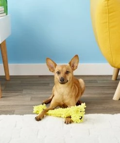 Multipet Loofa Floppy Light-Weight Squeaky Stuffing-Free Dog Toy, Color Varies -TropiClean || Pedigree || Multipet Sales 68076 PT3. SY630 V1545171770