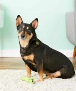 Multipet Loofa "Ruff" Latex Squeaky Dog Toy, Color Varies -TropiClean || Pedigree || Multipet Sales 68081 PT4. SY630 V1530544390