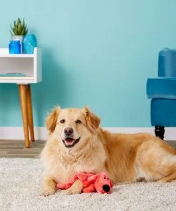 Multipet Loofa Squeaker Mat Soft Plush Dog Toy, Color Varies -TropiClean || Pedigree || Multipet Sales 68083 PT2. SY630 V1530544396