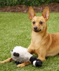 Multipet Migrator Bird Canadian Goose Squeaky Plush Dog Toy -TropiClean || Pedigree || Multipet Sales 68127 PT2. SY630 V1545172046