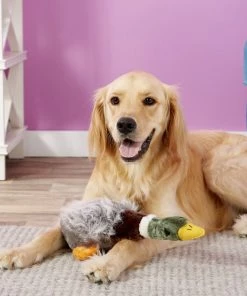 Multipet Migrator Bird Mallard Squeaky Plush Dog Toy -TropiClean || Pedigree || Multipet Sales 68131 PT2. SY630 V1545172067