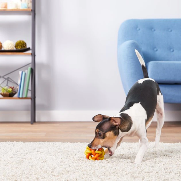 Multipet Nobbly Wobbly Ball Dog Toy, Color Varies 4 Multipet Nobbly Wobbly Ball Dog Toy, Color Varies - Image 4