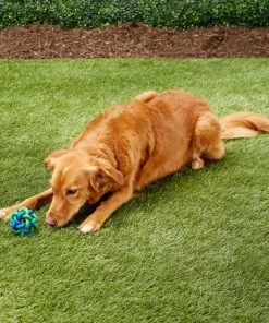 Multipet Nobbly Wobbly Ball Dog Toy, Color Varies 11 Multipet Nobbly Wobbly Ball Dog Toy, Color Varies -TropiClean || Pedigree || Multipet Sales 68137 PT4. SY630 V1545172110