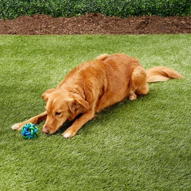 Multipet Nobbly Wobbly Ball Dog Toy, Color Varies 5 Multipet Nobbly Wobbly Ball Dog Toy, Color Varies - Image 5