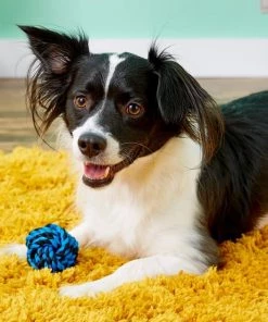 Multipet Nuts for Knots Ball Dog Toy, Color Varies -TropiClean || Pedigree || Multipet Sales 68144 PT3. SY630 V1530911477