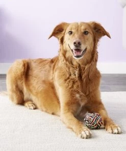 Multipet Nuts for Knots Ball Dog Toy, Color Varies -TropiClean || Pedigree || Multipet Sales 68144 PT4. SY630 V1530911495