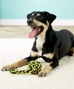 Multipet Nuts for Knots Heavy Duty Rope with Tug Dog Toy, Color Varies -TropiClean || Pedigree || Multipet Sales 68148 PT8. SY630 V1507035609