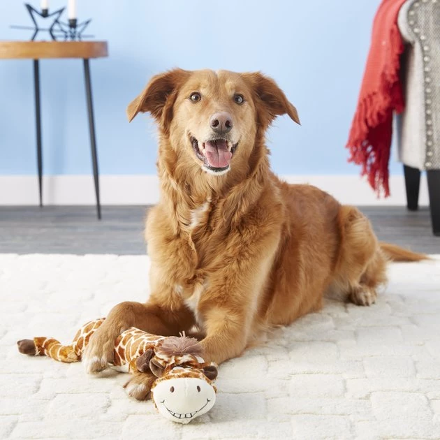 Multipet Dawdler Dudes Squeaky Plush Dog Toy 3 Multipet Dawdler Dudes Squeaky Plush Dog Toy - Image 3