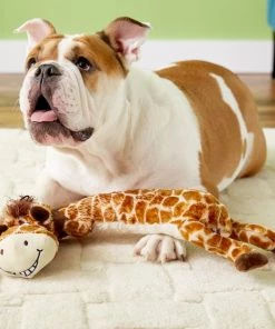 Multipet Dawdler Dudes Squeaky Plush Dog Toy 8 Multipet Dawdler Dudes Squeaky Plush Dog Toy -TropiClean || Pedigree || Multipet Sales 78671 PT3. SY630 V1530546579